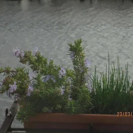 Nido Sul Fiume Bosa